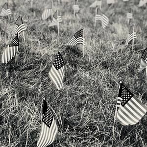 Meet your Posher, Rhakeem